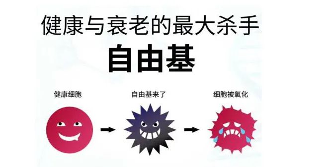 玻尿酸的作用與功效有哪些？